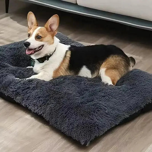 PlushPaws: Washable Large Dog Bed for Comfort & Relaxation.